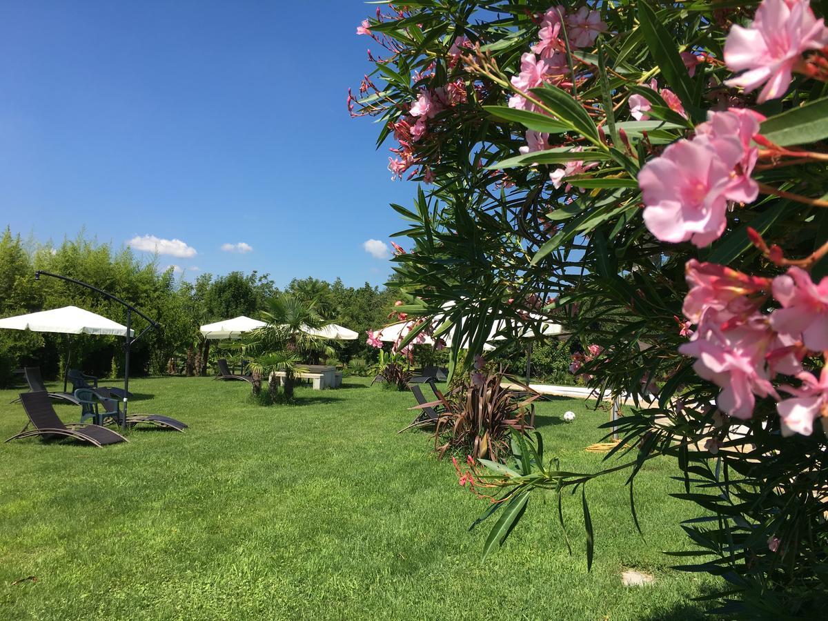 Agriturismob&B Loggia Degli Artisti Palazzolo dello Stella Екстериор снимка